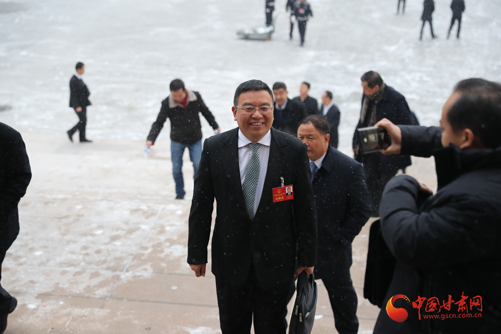 【聚焦2020甘肅兩會】“兩會”代表、委員風(fēng)采掠影（組圖）
