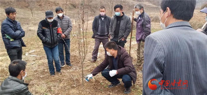 【甘肅全民戰(zhàn)“疫”】隴南徽縣：花椒田里培訓(xùn)忙，戰(zhàn)疫春耕兩不誤