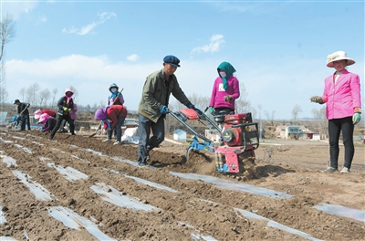 臨夏州積石山縣寨子溝鄉(xiāng)青豐中藥材農民專業(yè)合作帶動周邊群眾增收致富