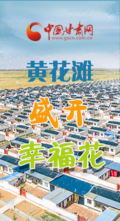 【跟著總書記看甘肅】長圖|武威黃花灘盛開幸?；?