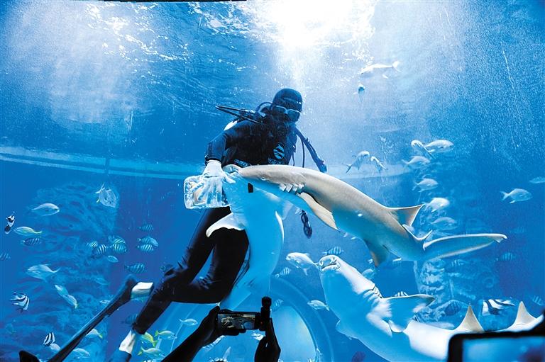 蘭州海洋公園 金昌火星1號基地 這個暑假我們“上天入?！?>
        </a><em>蘭州海洋公園 金昌火星1號基地 這個暑假我們“上天入?！?/em></li>
    <li><a  target=