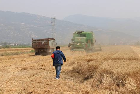 蘭州農機安全監(jiān)理確保“三夏”安全生產