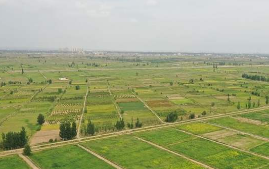 蘭州市將新建25萬(wàn)畝以上高標(biāo)準(zhǔn)農(nóng)田