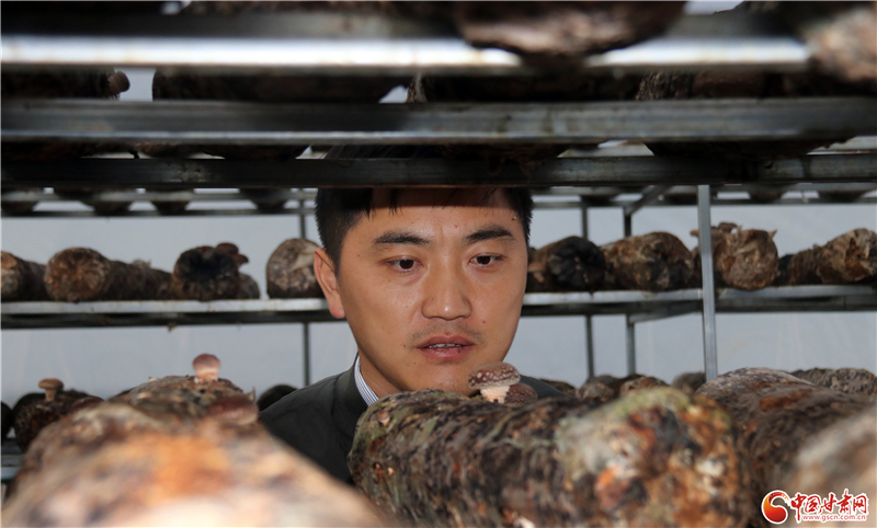 110年！何家溝村終于有了集體經(jīng)濟(jì)——中建二局黨建結(jié)對(duì)幫扶成效顯著