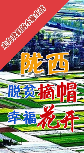 【走向我們的小康生活】長圖|隴西：脫貧摘帽 幸?；ㄩ_