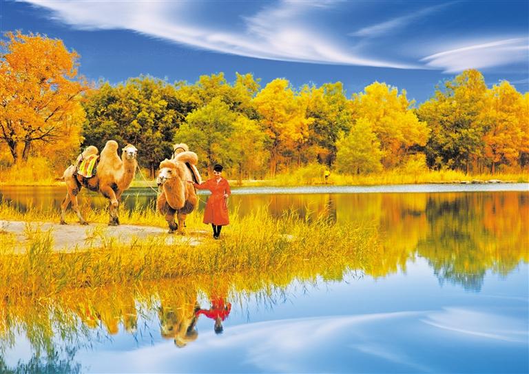 國慶長假，去金塔遇見最美胡楊