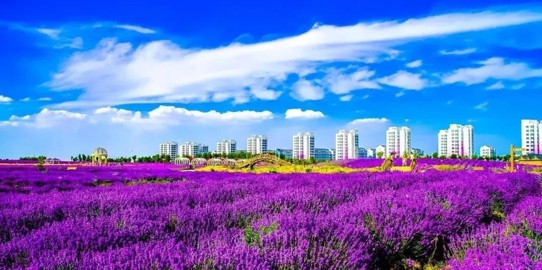 喜訊！金昌蟬聯(lián)全國文明城市