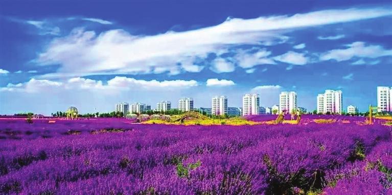 “三連冠”！金昌蟬聯(lián)全國文明城市