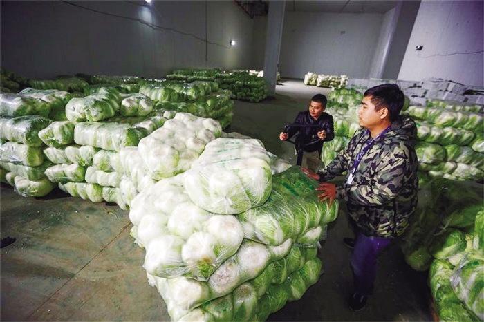 蘭州市已儲備1萬噸冬春蔬菜以耐貯存、易周轉(zhuǎn)品種為主