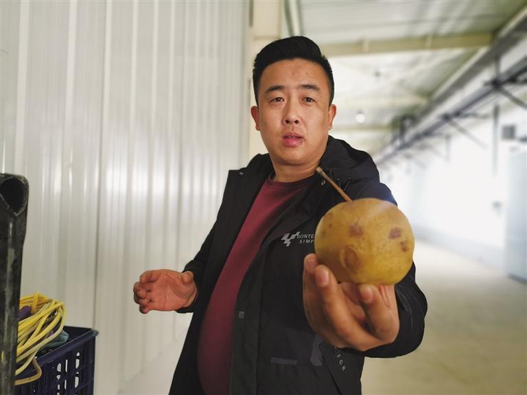 衛(wèi)萬(wàn)鐸：鄉(xiāng)村軟兒梨 走向大市場(chǎng)