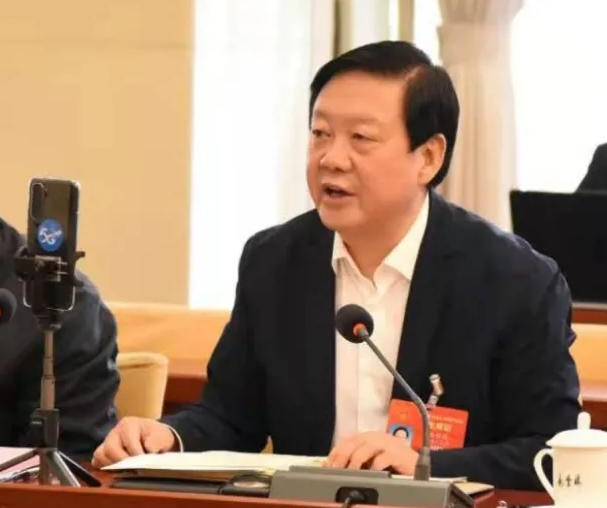 【聚焦2021全國兩會】全國人大代表、市委書記楊維俊接受中國日報記者采訪