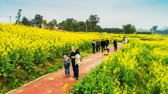 游客在花海里踏青。廖濤 攝