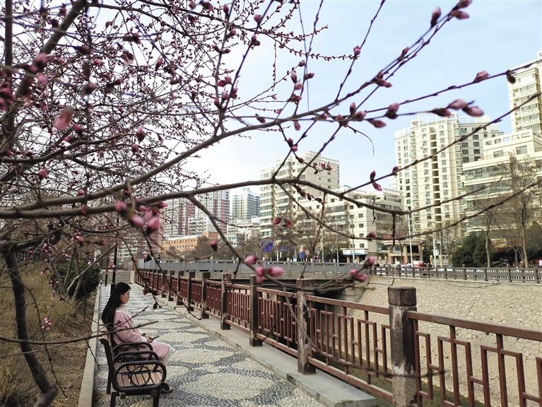 蘭州“第一朵花”開(kāi)了！