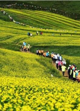 甘肅明確農(nóng)民進(jìn)城落戶(hù):不以退出承包地、林地等為條件