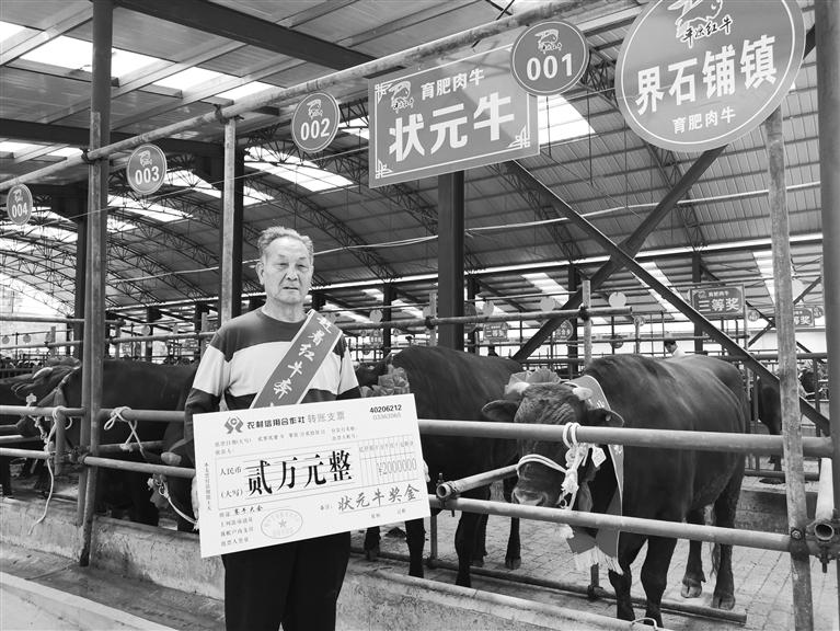 120頭“平?jīng)黾t?！膘o寧爭霸