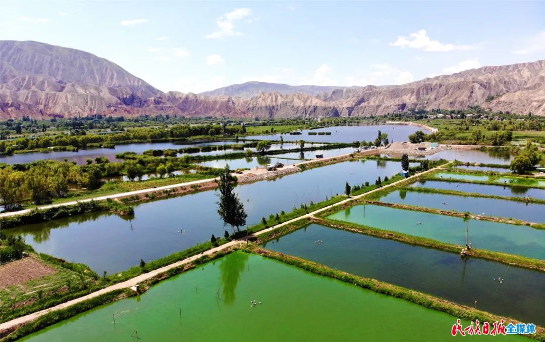 一秒入畫！太極島濕地風(fēng)光秀麗