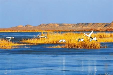 討賴河的美麗嬗變——嘉峪關(guān)市大力推進幸福美麗河湖建設紀實