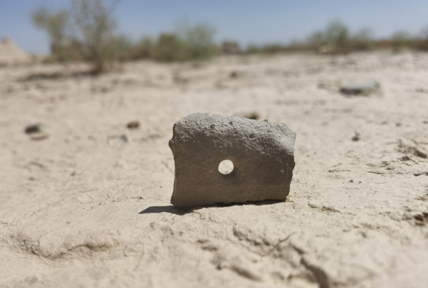 插圖1：河西走廊上遺存的古陶片。攝影：陳曉斌。拍攝日期：2020年6月。