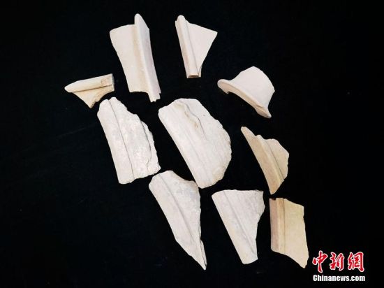 圖為靜寧縣賈河鄉(xiāng)竇坪村出土的彩陶片、紅陶片。 夏劍鋒 攝