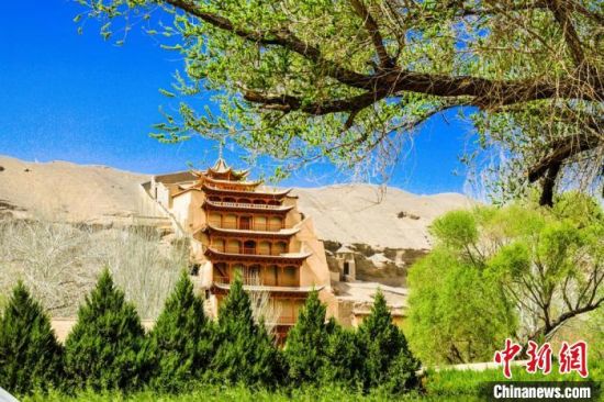 4月的敦煌莫高窟景區(qū)春意盎然。(資料圖) 王斌銀 攝