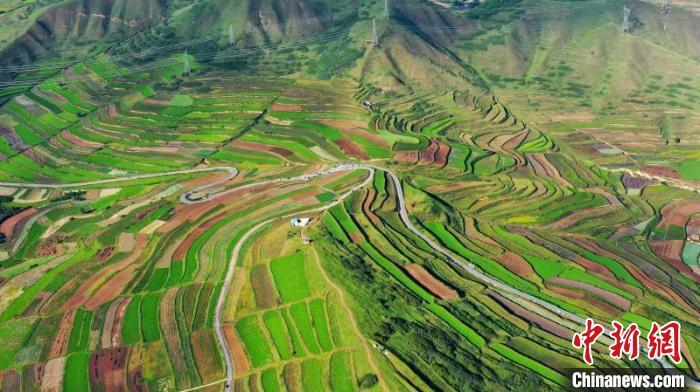 秋日里，榆中縣馬坡鄉(xiāng)千畝梯田，不同農(nóng)作物漸趨成熟，呈現(xiàn)出多種色彩，宛若大地的“調(diào)色盤”。　劉曉波 攝