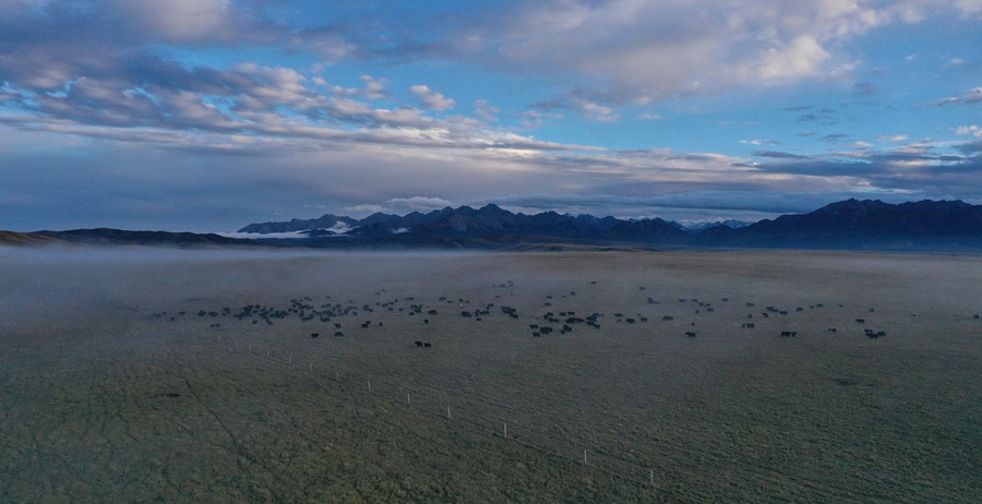 甘肅山丹馬場(chǎng)：峽谷云霧似仙境。 王超攝