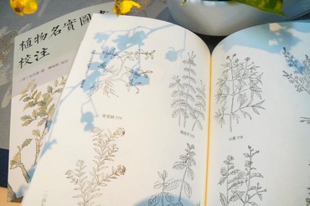 《植物名實圖考校注》內(nèi)頁。圖片來源：中華書局供圖