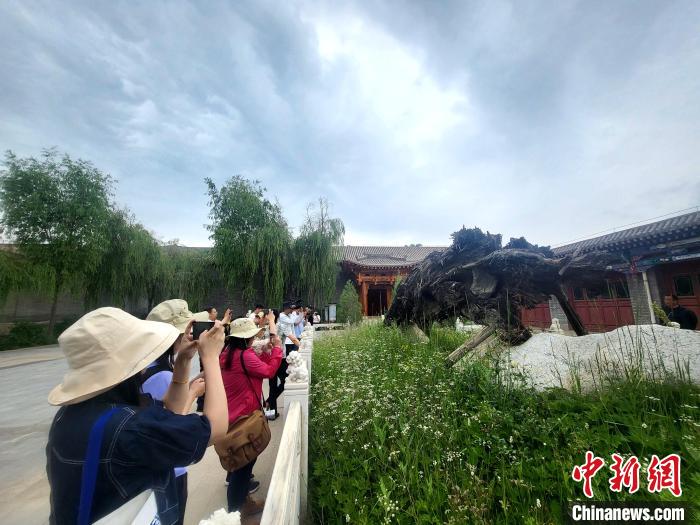 圖為媒體記者在青海永錄民俗參觀采訪?！⊙Φ?攝