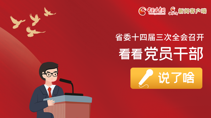 圖解|事關(guān)甘肅省委十四屆三次全會，黨員干部這么說！
