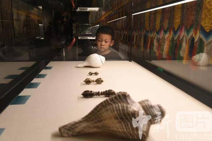 圖為展出的“白海螺法器”吸引小觀眾。 中新社記者 戴文昌 攝
