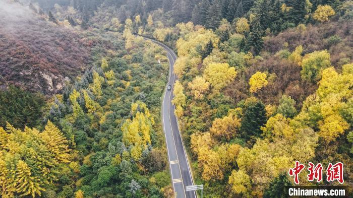 深秋，航拍位于蘭州市榆中縣的興隆山，景色如畫。金峯 攝</p>
<p>