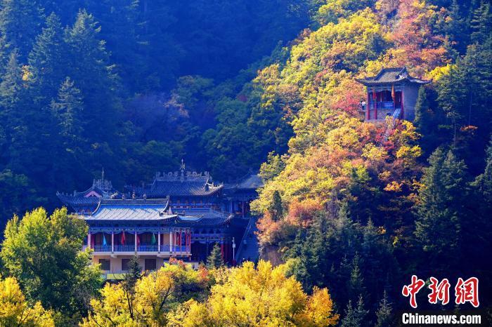 深秋，位于蘭州市榆中縣的興隆山景色如畫。宮衛(wèi)紅 攝