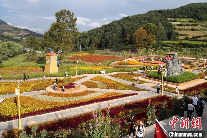 圖為航拍甘肅甘南臨潭縣八角鎮(zhèn)，花海吸引游人。(資料圖)高展 攝