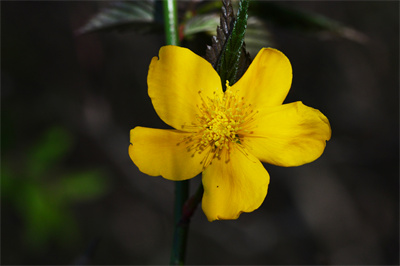 1737511014959902.jpg 7-01.jpg