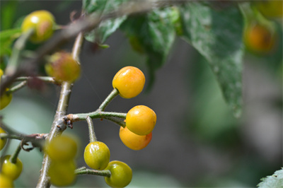 1737511182347623.jpg 802.jpg