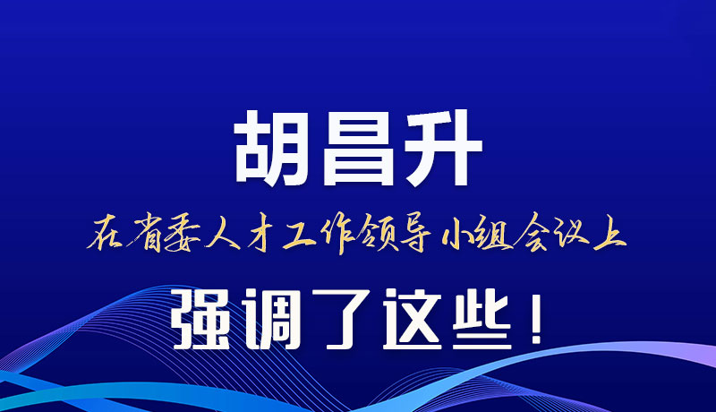 圖解|胡昌升在省委人才工作領導小組會議上強調了這些！