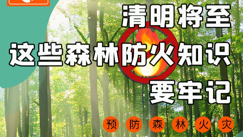 【甘快看】圖解|緊繃“安全弦”！清明，這些森林防火知識要牢記