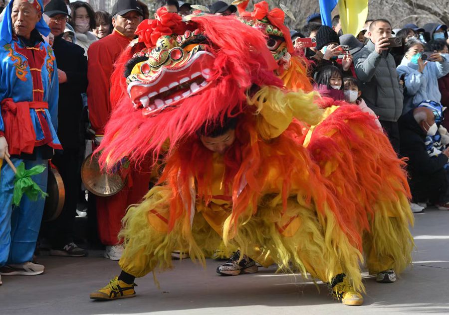 蘭州北獅表演現(xiàn)場。受訪者供圖