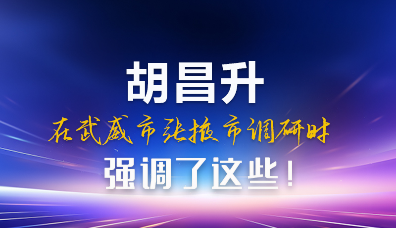 圖解|胡昌升在武威市張掖市調(diào)研時強調(diào)這些！