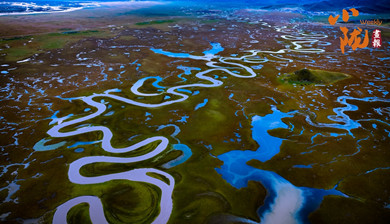 冬日瑪曲宛若一部水墨長(zhǎng)卷