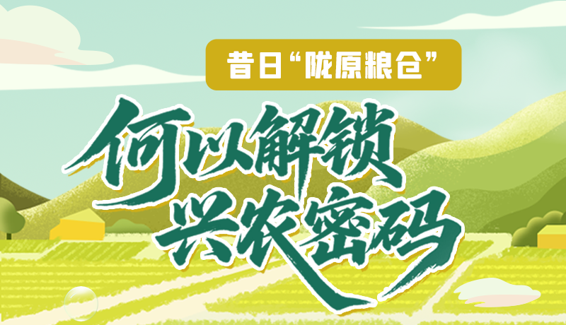 【理響中國(guó)·話隴點(diǎn)睛（3）】昔日“隴原糧倉(cāng)”，何以解鎖“興農(nóng)密碼”