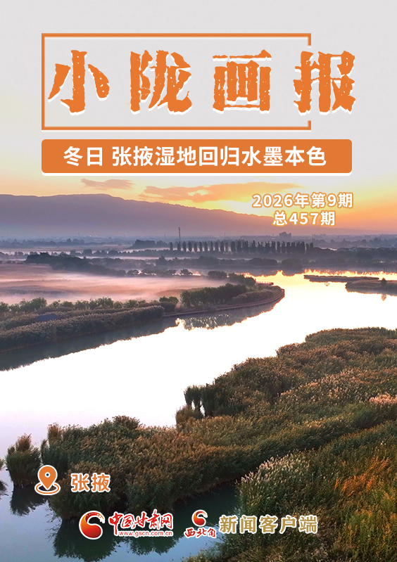 【小隴畫報(bào)·457期】冬日，張掖濕地回歸水墨本色 